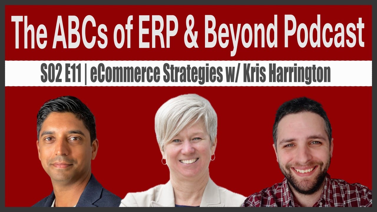 S02E11 | eCommerce Strategies with Kristina Harrington